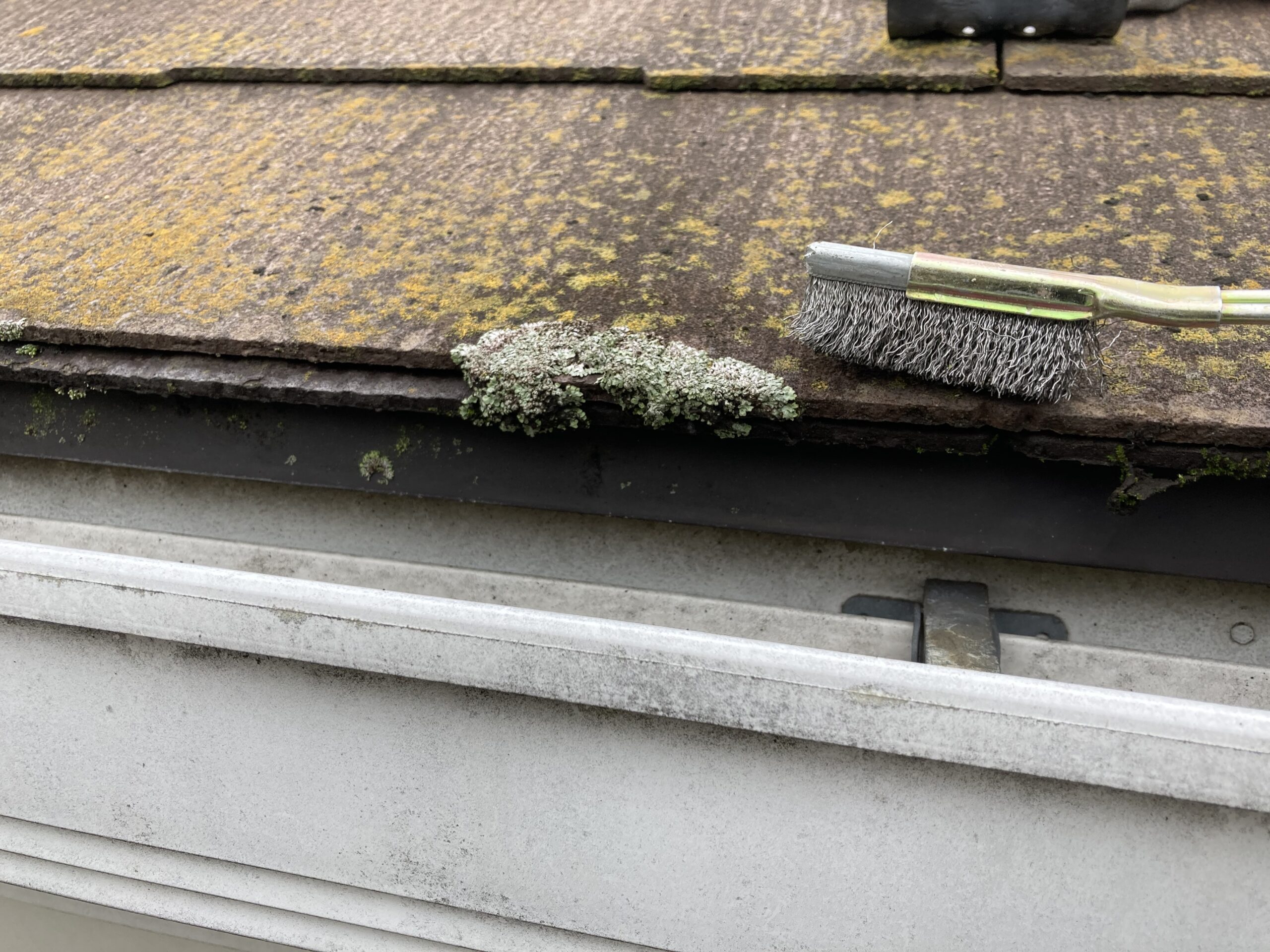 屋根木口のコケ除去
